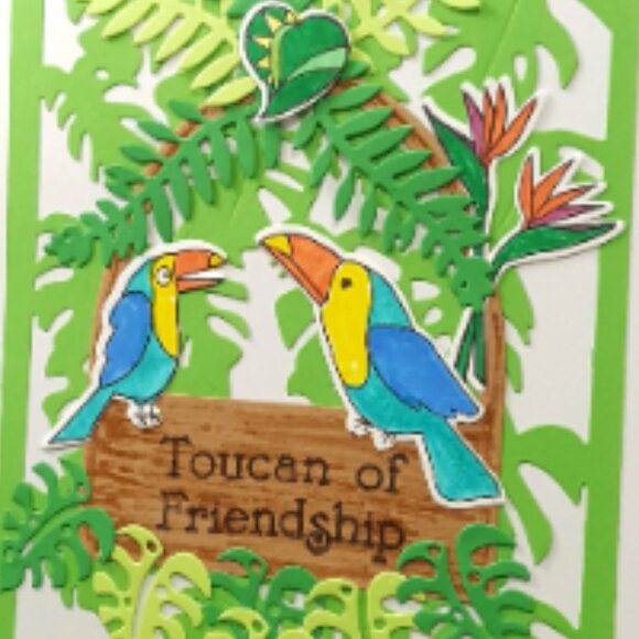 Toucan Note Card 'Toucan of Friendship' with Envelope - Picture 3 of 4